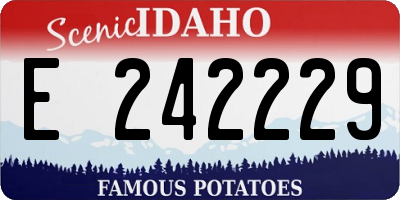 ID license plate E242229