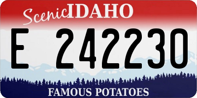 ID license plate E242230