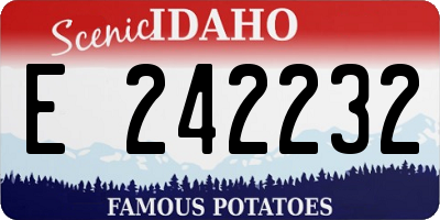 ID license plate E242232