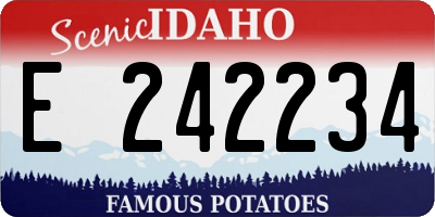ID license plate E242234