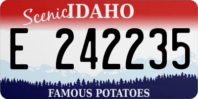 ID license plate E242235