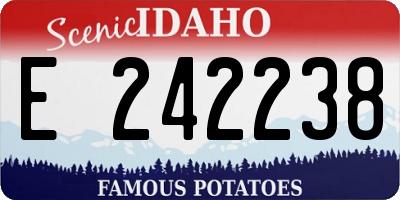 ID license plate E242238