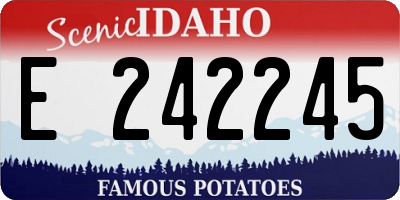 ID license plate E242245