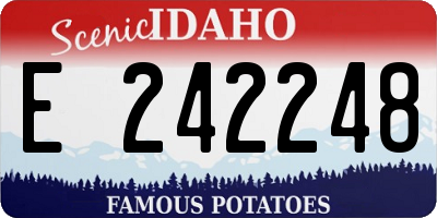 ID license plate E242248