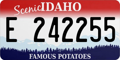 ID license plate E242255