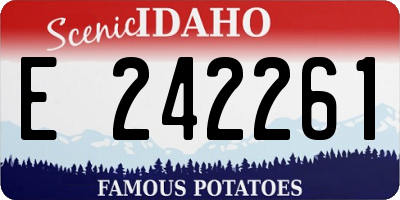 ID license plate E242261