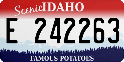 ID license plate E242263