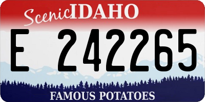 ID license plate E242265