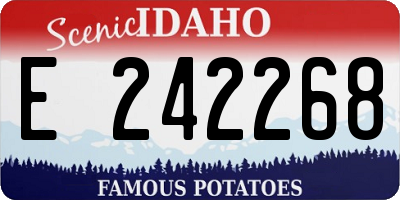ID license plate E242268