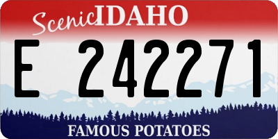 ID license plate E242271