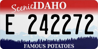 ID license plate E242272