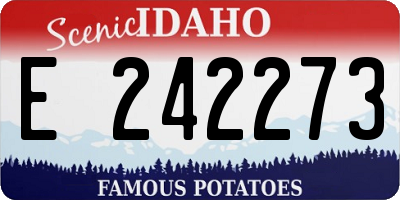 ID license plate E242273