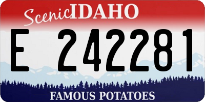 ID license plate E242281