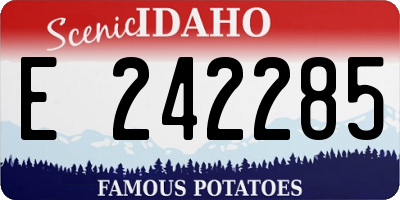 ID license plate E242285