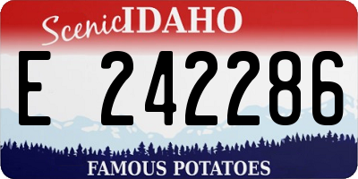 ID license plate E242286