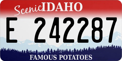 ID license plate E242287