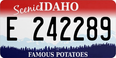 ID license plate E242289