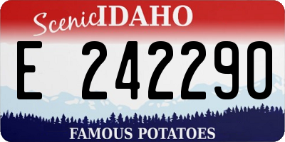 ID license plate E242290