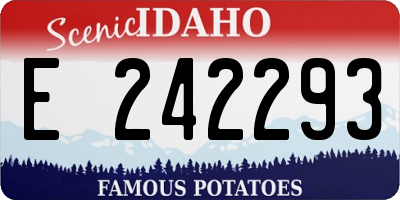 ID license plate E242293