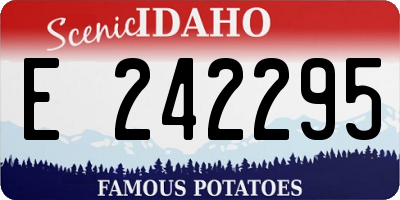 ID license plate E242295