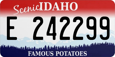 ID license plate E242299