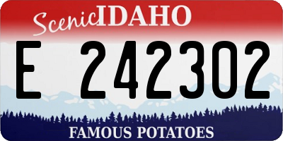 ID license plate E242302