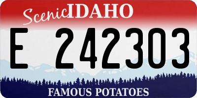 ID license plate E242303