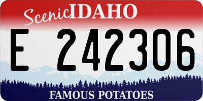 ID license plate E242306