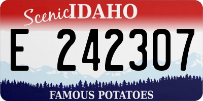 ID license plate E242307
