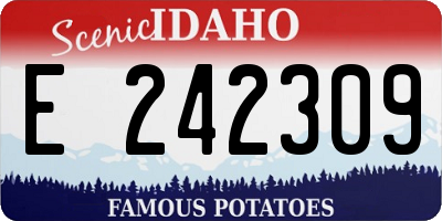 ID license plate E242309