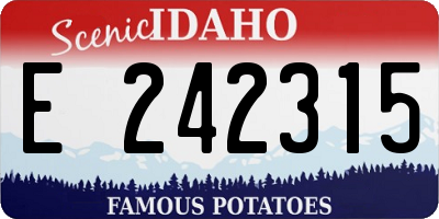 ID license plate E242315