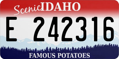 ID license plate E242316