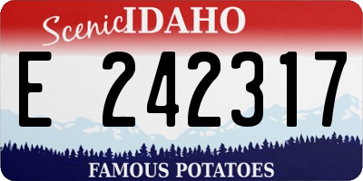 ID license plate E242317