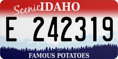 ID license plate E242319