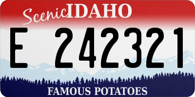 ID license plate E242321