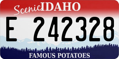 ID license plate E242328
