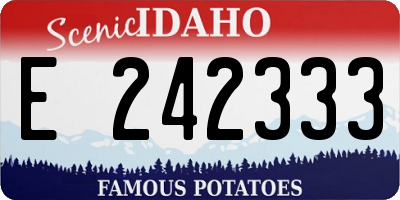 ID license plate E242333