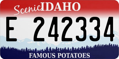ID license plate E242334