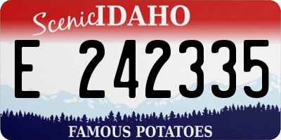 ID license plate E242335