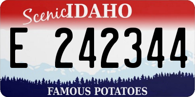 ID license plate E242344