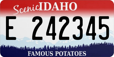ID license plate E242345