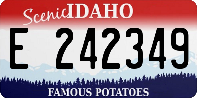 ID license plate E242349