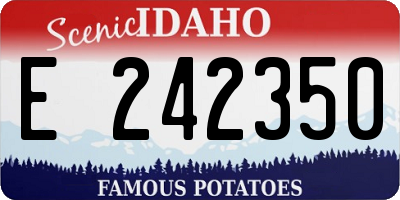 ID license plate E242350