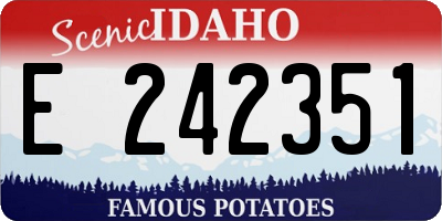 ID license plate E242351