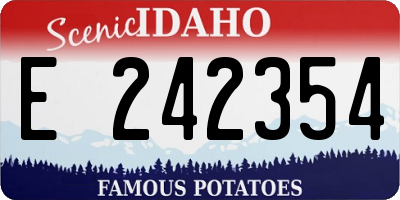 ID license plate E242354