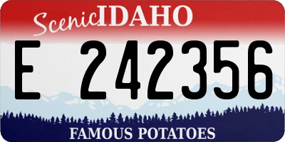 ID license plate E242356