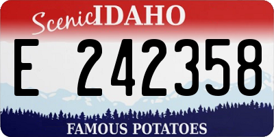 ID license plate E242358