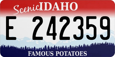 ID license plate E242359