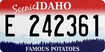 ID license plate E242361