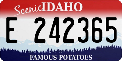ID license plate E242365